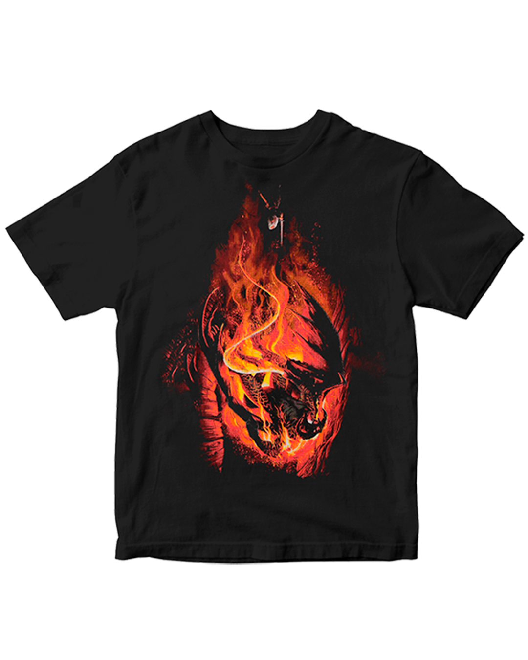 Polera de Ganfalf V/S Balrog